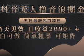 2024年5月最新抖音无人直播撸音浪项目 新手可操作当天见效