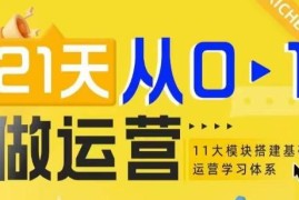 21天从0到1入门电商运营 11大维度搭建运营基础学习体系