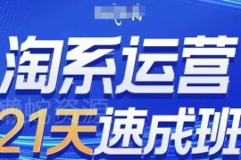 2025年11月更新 0基础21天淘系运营实操速成教程