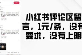 小红书单条评论1元无门槛项目教程 无需创作仅需留言即可操作