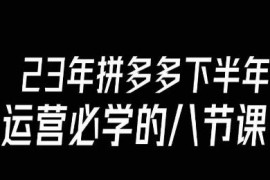 2023下半年拼多多运营必学课 8节核心内容共18节完整版