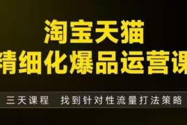 淘宝天猫精细化爆品运营线下课 全模块拆解爆品打造逻辑附资料