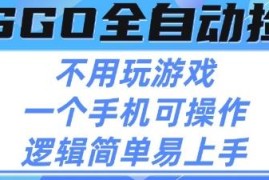 CSGO自动捡漏赚差价项目详解 无需玩游戏手机即可操作
