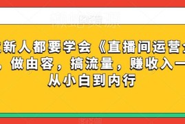 直播间运营全攻略 零基础从起号到变现全流程实操教程