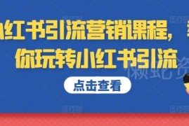 2024小红书引流运营全流程课程 从养号到涨粉转化实操教学
