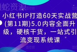 2024小红书IP打造60天实战营5.0 全链路引流变现系统课程