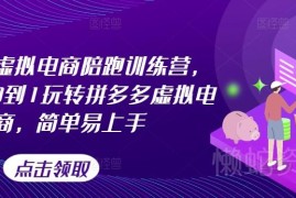 拼多多虚拟电商从0到1教学 选品推广及避坑技巧全解析