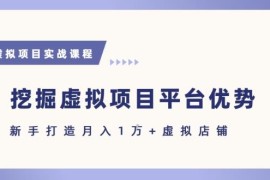 虚拟项目各平台优势拆解 新手实操指引助力轻松实现月入过万