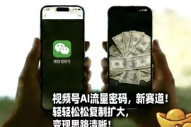 视频号AI流量新赛道玩法详解 可复制易上手多路径变现攻略
