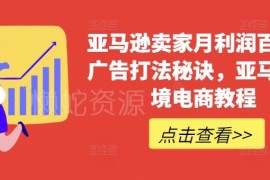 亚马逊卖家百万月利广告打法 跨境电商运营实操干货教程