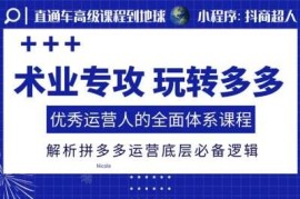 2024拼多多运营全体系课程 解析底层逻辑及全链路实操玩法