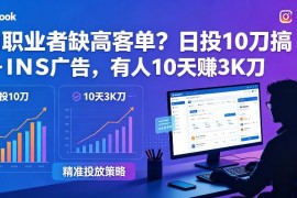 自由职业者低预算投FB/INS广告 获取高客单实操教程