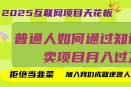 2025普通人做知识付费卖网创项目 月入过万落地实操指南