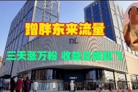 2025蹭胖东来流量视频号玩法 三天涨万粉变现实操教程