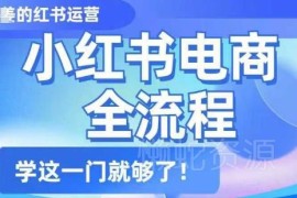 小红书电商全流程实操教程 0基础从入门到精通运营指南