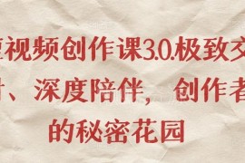 短视频创作3.0系统课程 从定位剪辑到运营转化全流程教学