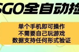 CSGO饰品全自动捡漏赚差价项目 手机操作新手无需玩游戏