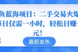 闲鱼蓝海二手交易项目详解 低时间投入副业赚钱实操指南