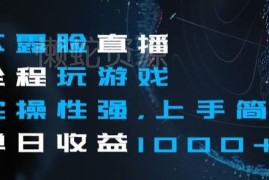 快手不露脸游戏直播实操教程 低门槛副业日入千元玩法解析