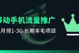 手机流量领取推广项目玩法 刚需类可长期操作的副业实操指南