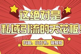 2024全平台公域转私域引流实操玩法 附截流脚本获客教程