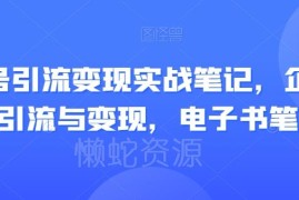 视频号抖音引流变现实战笔记 平台玩法运营实操全指南