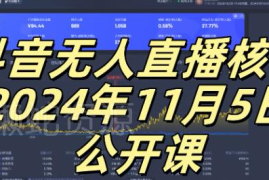 2024抖音无人直播核心玩法公开课 小白可上手搭建睡后收入管道