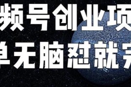 收费198元最新视频号连怼技术 原创内容爆单玩法完整揭秘
