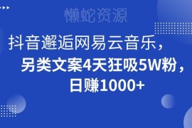 抖音搭配网易云音乐做文案号 4天涨粉5万的低门槛变现玩法