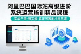 2025新版阿里巴巴国际站高级进阶运营 实操可落地精品培训课程