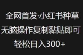2025小红书复制粘贴种草实操教程 低门槛副业日入300玩法解析