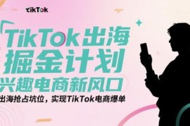 TikTok出海兴趣电商运营实操课 零基础上手实现跨境店铺爆单