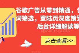 谷歌广告从零到精通系统教程 含关键词筛选登陆页策划后台解读