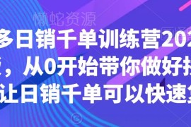 2023拼多多日销千单运营教程 从0到1打造可复制高销量店铺