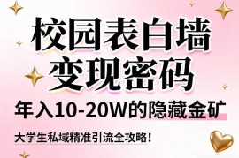 校园表白墙私域运营全攻略 大学生精准引流年入10W+实操指南