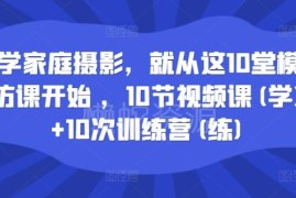 零基础学家庭摄影教程 10堂模仿视频课配实战训练营指导