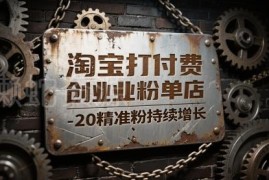 淘宝付费引流创业粉实操教程 单店日均10-20精准粉可稳定放大