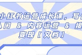 新手小红书系统运营成长课 从写作到涨粉接广变现全指南