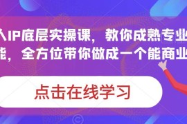 蟹老板打爆个人IP底层实操课 教你打造可商业化变现IP技能