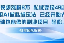 0基础可上手AI私域副业玩法 单条视频私域变现超4900元