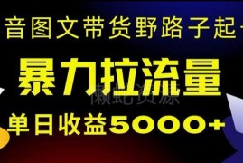 抖音图文带货野路子起号方法 单部手机操作无违规易上手