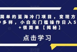 零基础可做冷门蓝海副业操作指南 支持多方式稳定变现