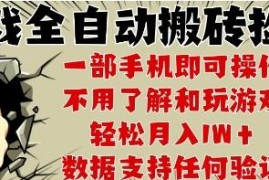 2025年CSGO游戏搬砖项目揭秘 全自动运行无需玩游戏手机即可操作