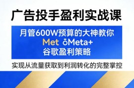 Meta谷歌广告投手盈利实战课 月管600W预算大神教流量到转化全流程