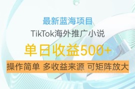 TikTok海外推广小说赚佣金蓝海项目 低门槛可矩阵放大操作教程