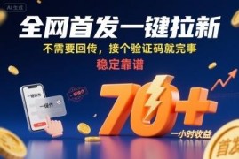 全网首发无回传一键拉新项目 仅需验证码单小时稳定收益70+