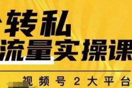 群响公转私实操课 抖音视频号双端私域流量搭建运营教程
