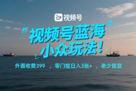 视频号分成计划蓝海小众玩法 零门槛易上手适合全年龄段操作