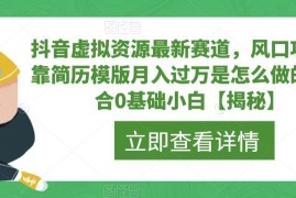 抖音虚拟资源新赛道：0基础操作简历模板项目月入过万全指南