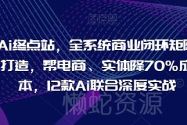 AI全系统商业闭环矩阵实战课 12款AI工具帮电商实体降本提效
